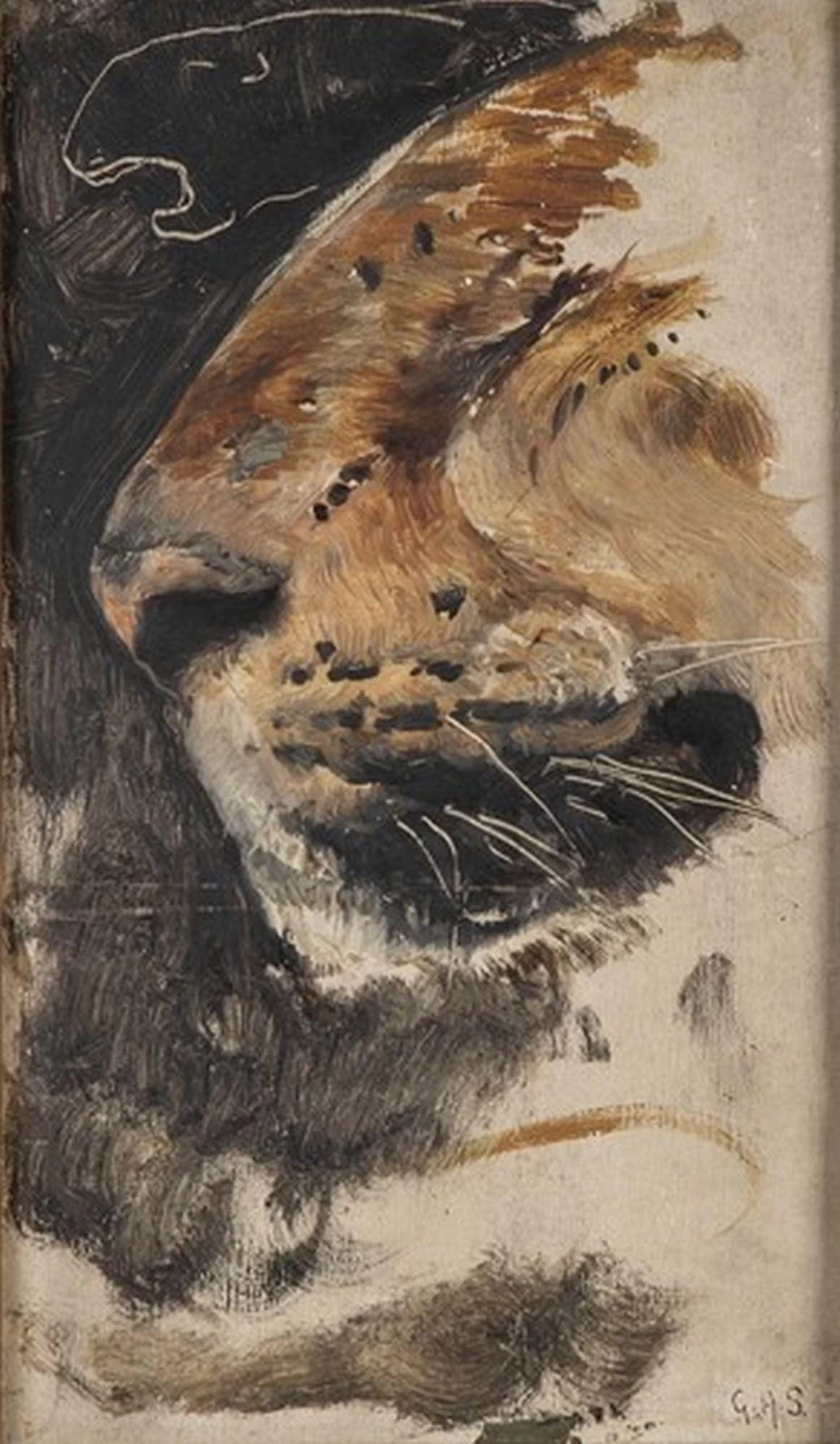 Studio di testa di leone